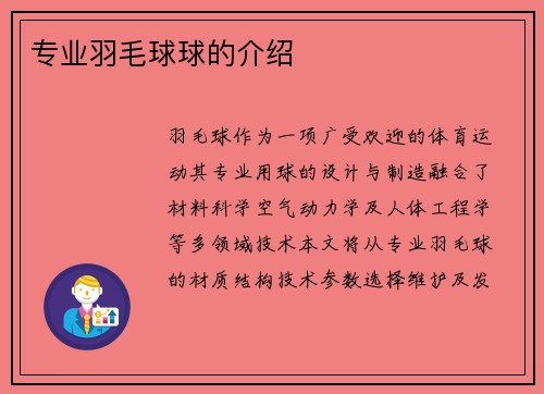 专业羽毛球球的介绍