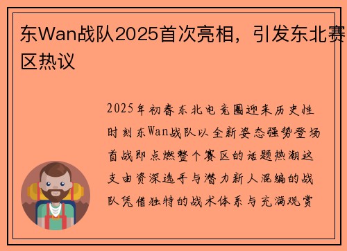 东Wan战队2025首次亮相，引发东北赛区热议